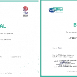 Formation Brevet Fédéral Enfants